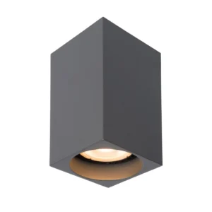 DELTO Ceiling spot.-Grey-LED Dimm.-1xGU10-5W