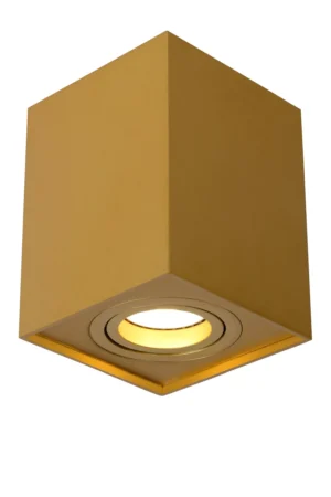 TUBE Ceiling spot.-Black-2xGU10-50W-Alumin.