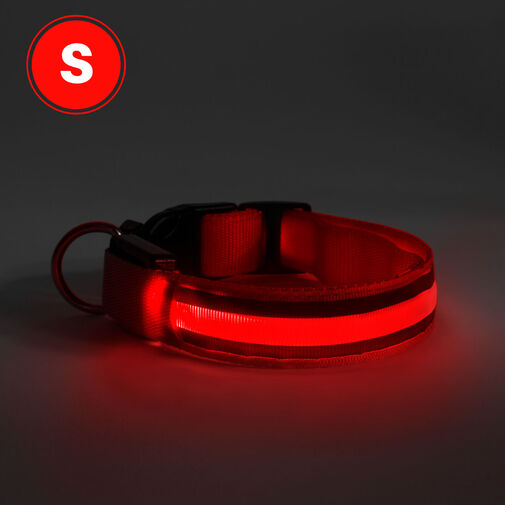 LED obojok - s akumulátorom - veľkosť S - červená